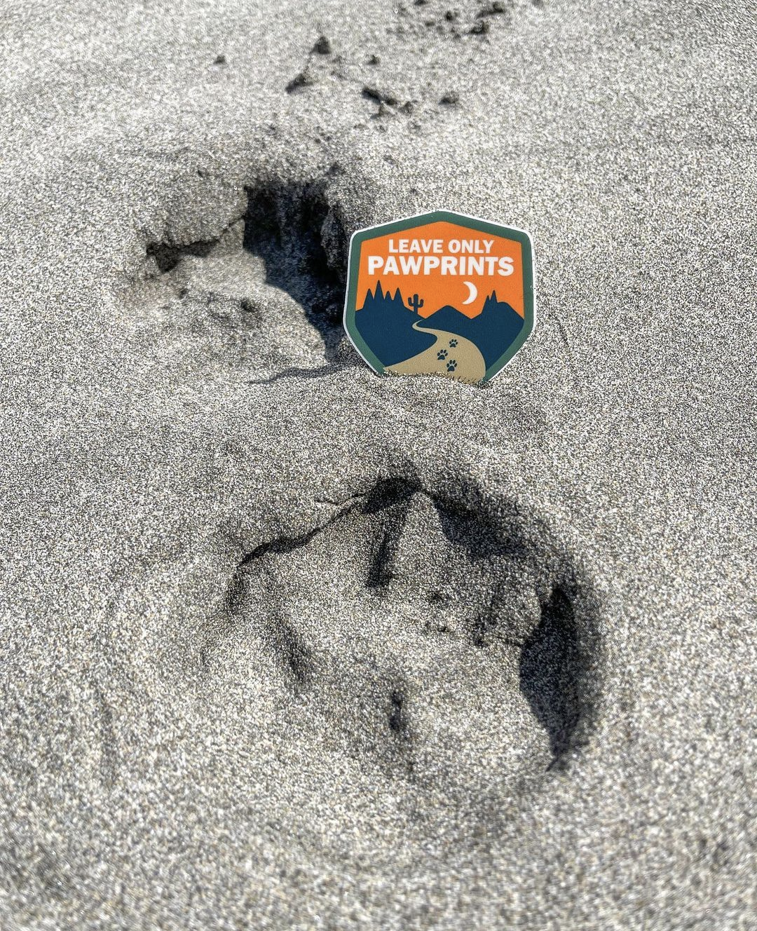 Leave Only Pawprints Sticker