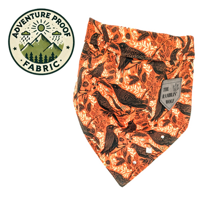 FEATHERS & FABLES Adventure-Proof Bandana