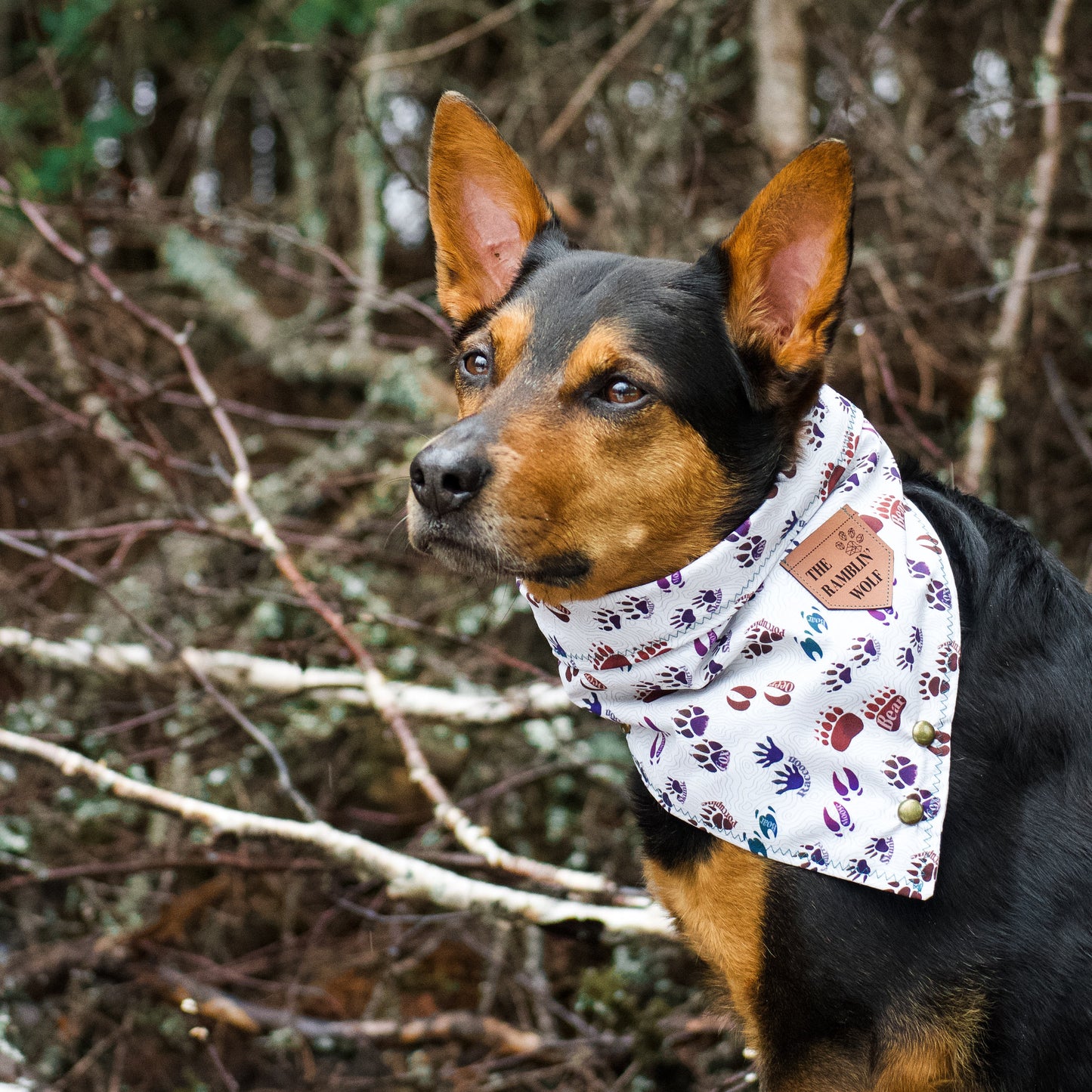 FOREST FRIENDS Adventure-Proof Bandana