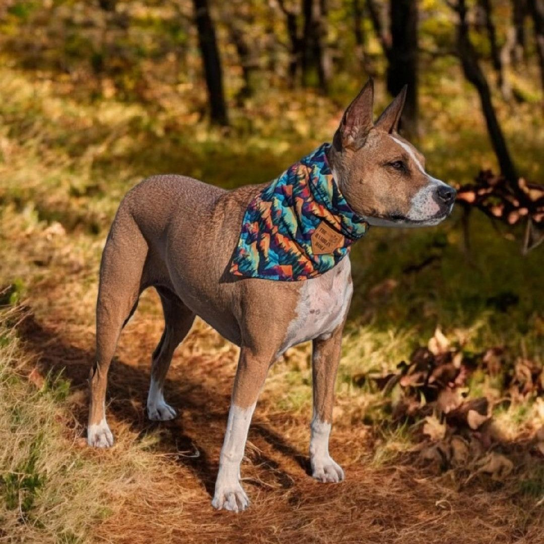 CHASIN' PEAKS Adventure-Proof Bandana