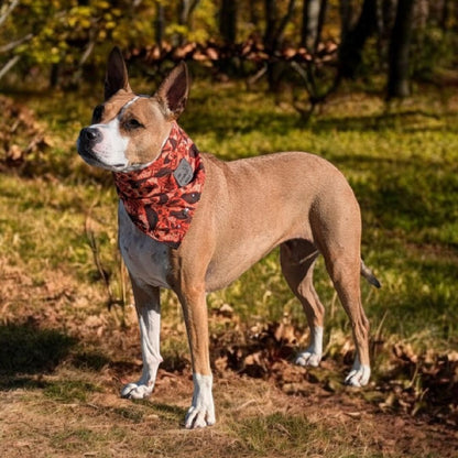 FEATHERS & FABLES Adventure-Proof Bandana