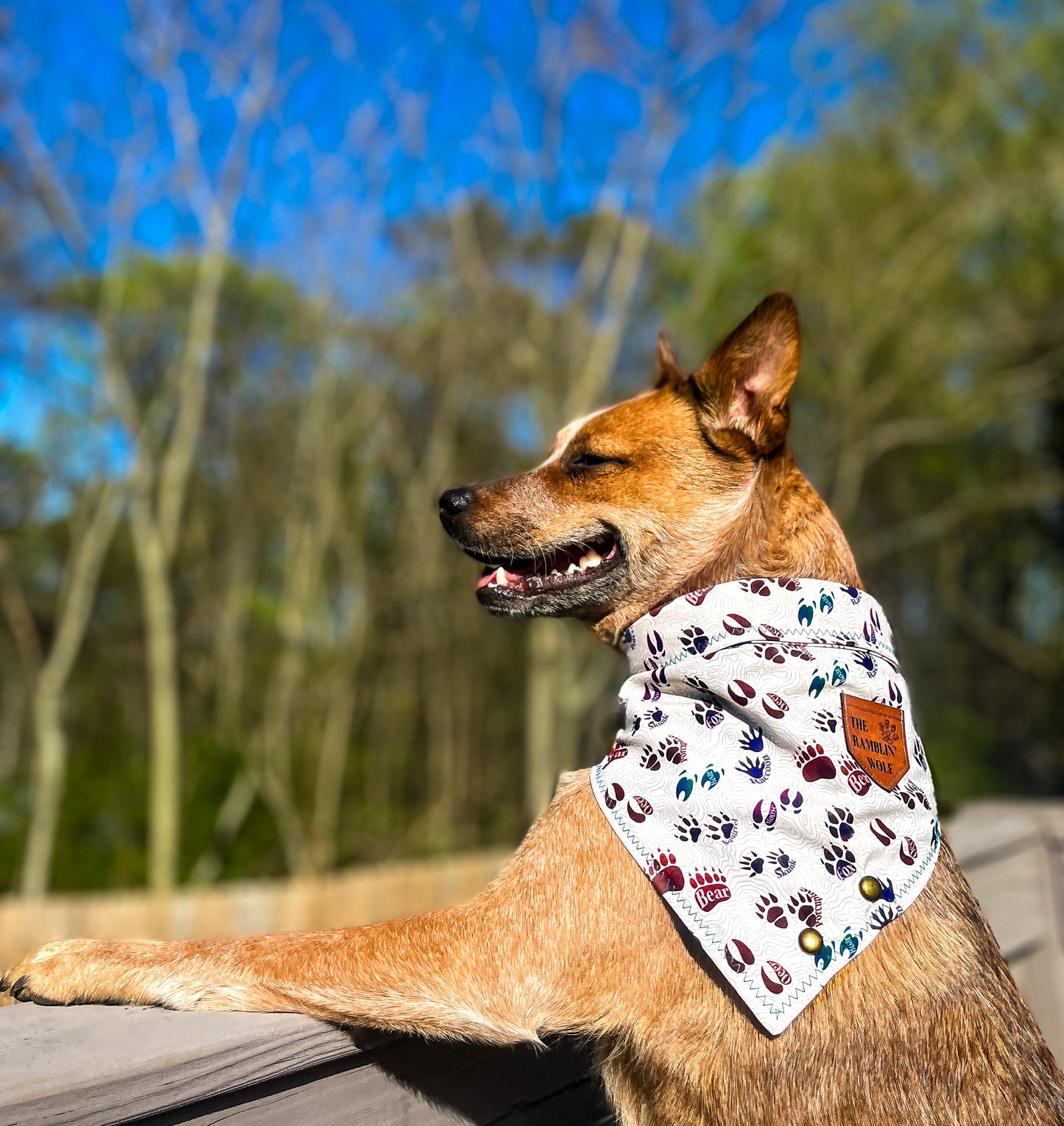 FOREST FRIENDS Adventure-Proof Bandana