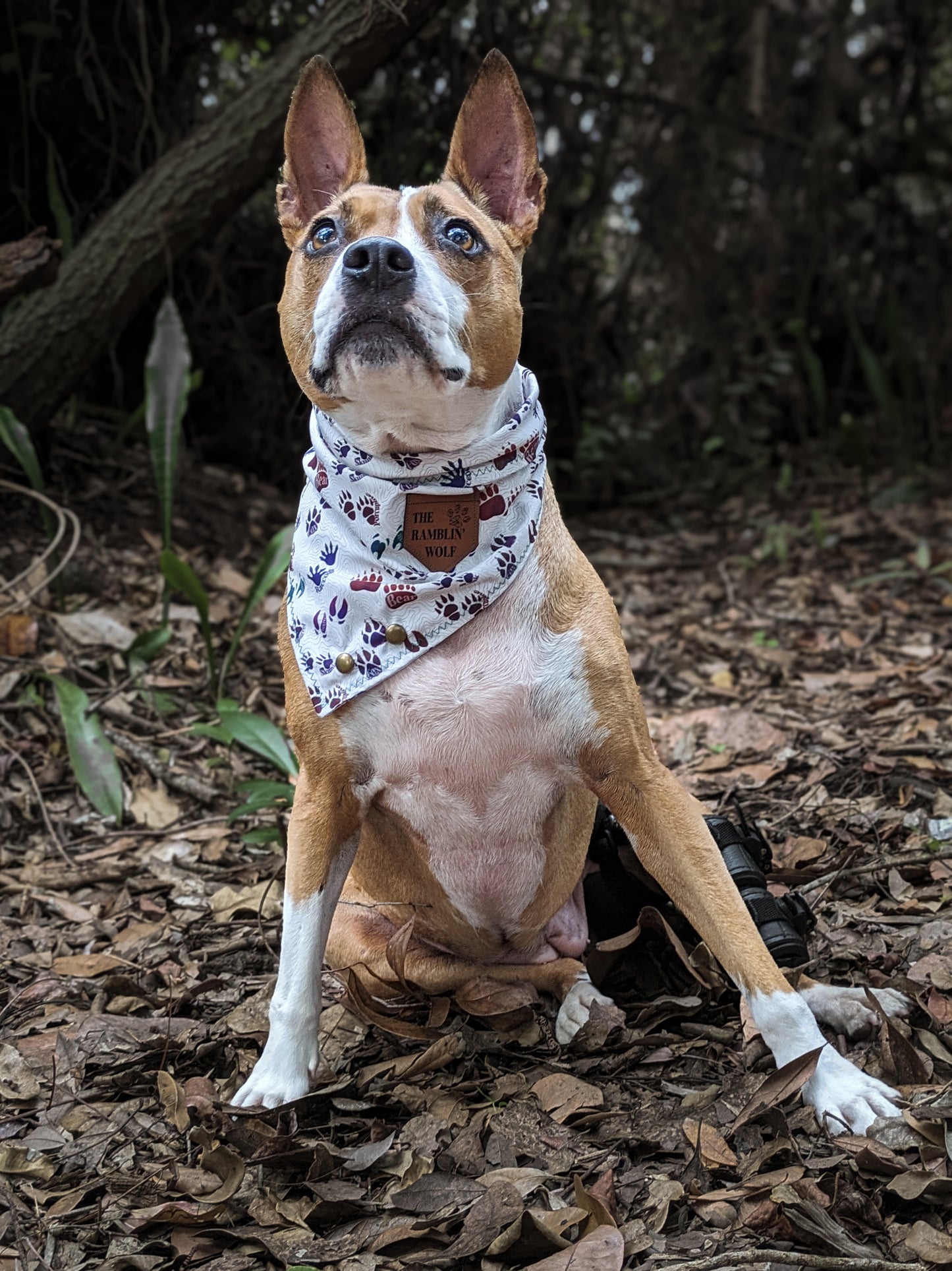 FOREST FRIENDS Adventure-Proof Bandana