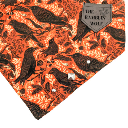 FEATHERS & FABLES Adventure-Proof Bandana