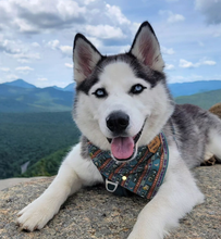 Load image into Gallery viewer, RAMBLE ON Pocket Bandana

