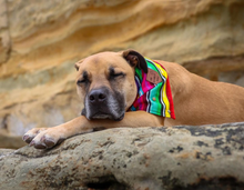 Load image into Gallery viewer, PONCHO PERRO Pocket Bandana

