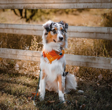 Load image into Gallery viewer, SYRUP AND CIDER Flannel Pocket Bandana
