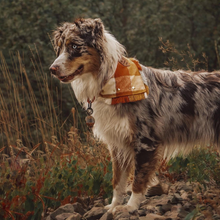 Load image into Gallery viewer, SYRUP AND CIDER Flannel Pocket Bandana
