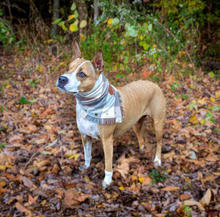 Load image into Gallery viewer, REBEL RIDER Flannel Pocket Bandana

