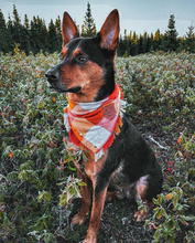 Load image into Gallery viewer, SYRUP AND CIDER Flannel Pocket Bandana
