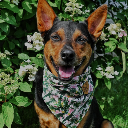 STRANGER DANGER Adventure-Proof Bandana