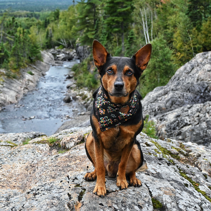 DO EPIC SHIT Adventure-Proof Bandana