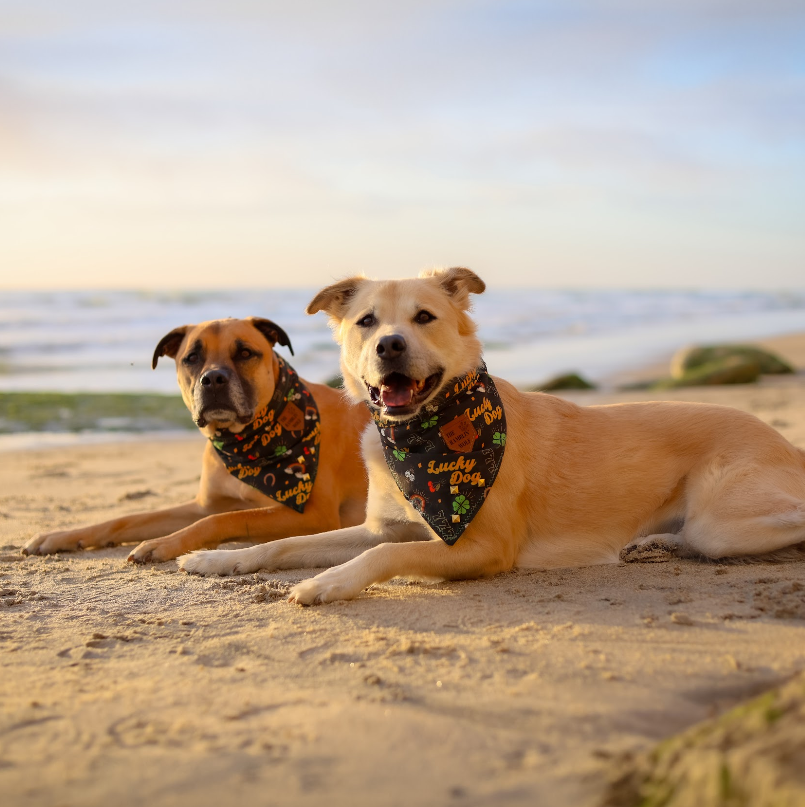 LUCKY DOG Adventure-Proof Bandana