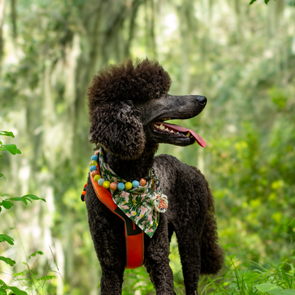 STRANGER DANGER Adventure-Proof Bandana