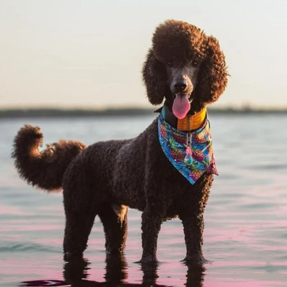 TROPIC LIKE IT'S HOT Adventure-Proof Bandana