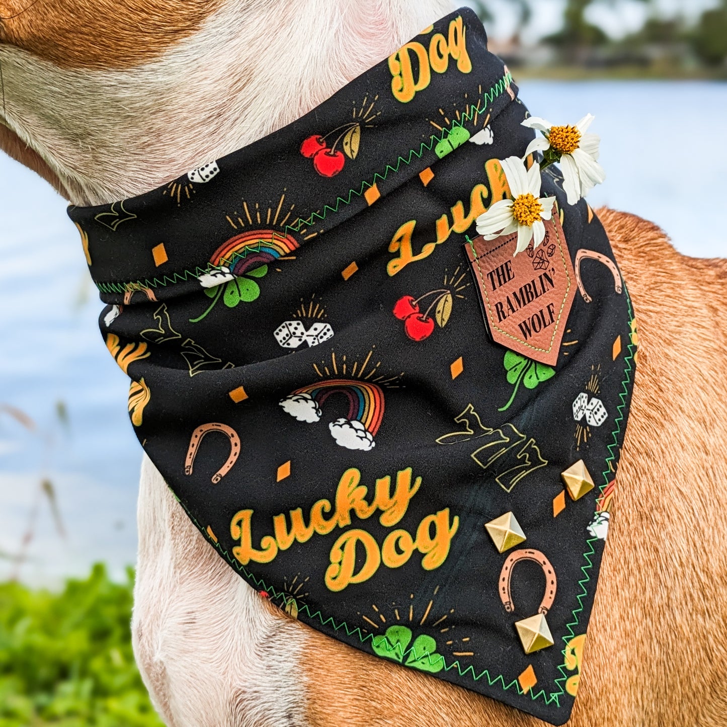 LUCKY DOG Adventure-Proof Bandana