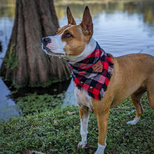 Load image into Gallery viewer, MIDNIGHT RAMBLER Pocket Bandana
