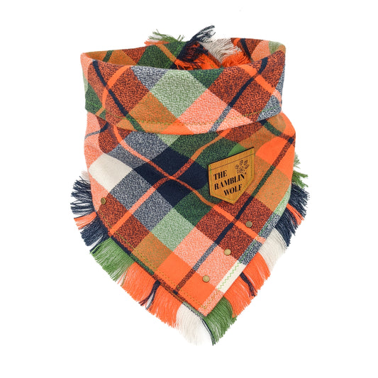 STARS AND STORIES Flannel Bandana