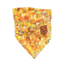 Load image into Gallery viewer, REMNANT - ELECTRIC RAYS Pocket Bandana
