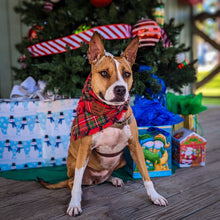 Load image into Gallery viewer, REMNANT - SANTA&#39;S SIDEKICK Pocket Bandana
