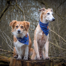 Load image into Gallery viewer, REMNANT - HIGHER DIMENSION Pocket Bandana
