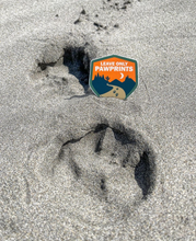 Load image into Gallery viewer, Leave Only Pawprints Sticker
